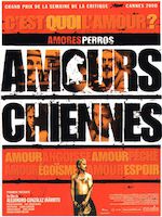 AMOUR CHIENNES