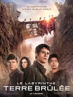 LE LABYRINTHE : LA TERRE BRULÉE