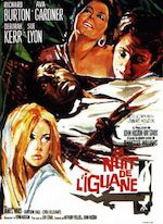 LA NUIT DE L’IGUANE