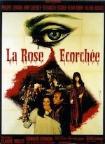 LA ROSE ÉCORCHÉE