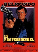 LE PROFESSIONNEL