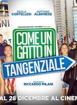 COME UN GATTO IN TANGENZIALE