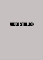 VIDEO STALLION