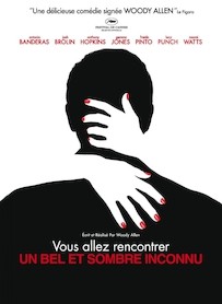 Vous avez rencontrer un bel et sombre inconnu streaming