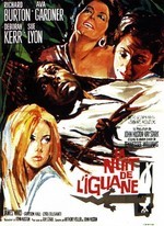 LA NUIT DE L'IGUANE