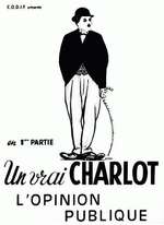L'OPINION PUBLIQUE