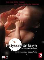 L'ODYSSÉE DE LA VIE