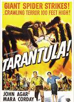 TARANTULA