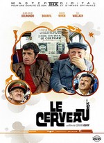 LE CERVEAU